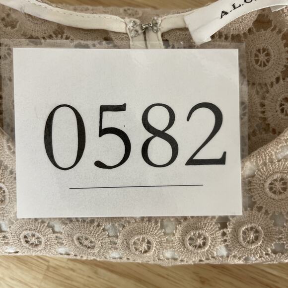 ALC Lace Crop Top Short Sleeve Womens Size Medium Sheer Neutral Bohemian Lace - Picture 9 of 9